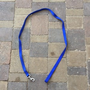 Use the standard six foot leash for dog training in Oahu
